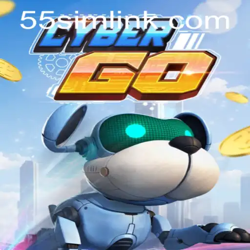 Exploring the Innovative World of CyberGO: A Comprehensive Guide